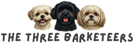 The Three Barkateers